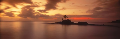 Framed Silhouette of a palm tree on an island at sunset, Anse Severe, La Digue Island, Seychelles Print