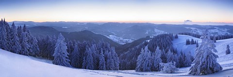 Framed Snow covered trees on a hill, Feldberg Mountain, Black Forest, Baden-Wurttemberg, Germany Print