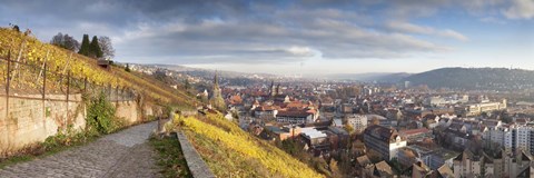 Framed Houses in a village, Esslingen am Neckar, Stuttgart, Baden-Wurttemberg, Germany Print