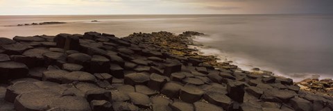 Framed Reef at the Giant&#39;s Causeway, County Antrim, Northern Ireland Print