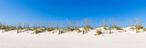Framed Sand dunes on Gulf Of Mexico, Orange Beach, Baldwin County, Alabama, USA Print