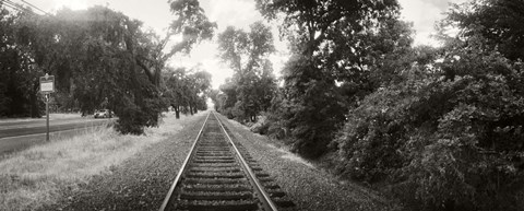 Framed Railroad track, Napa Valley, California, USA Print