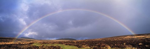 Framed Rainbow above Fernworthy Forest, Dartmoor, Devon, England Print