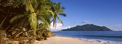Framed Palm trees grow out over a small beach with Silhouette Island in the background, Seychelles Print