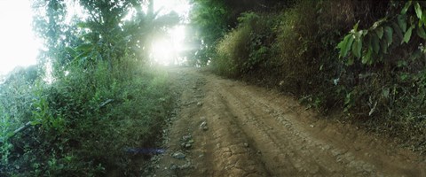 Framed Dirt road through a forest, Chiang Mai Province, Thailand Print