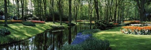 Framed Flower beds and trees in Keukenhof Gardens, Lisse, Netherlands Print