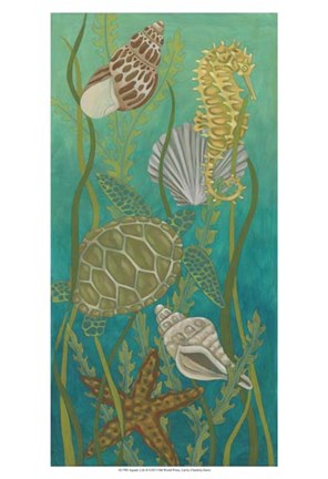 Framed Aquatic Life II Print