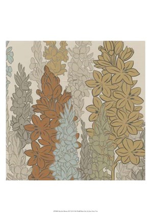 Framed Meadow Blooms II Print