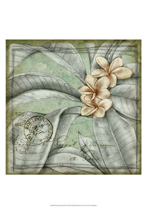 Framed Postmark Tropicals I Print