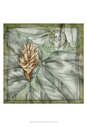 Framed Postmark Tropicals II Print