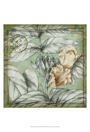 Framed Postmark Tropicals III Print