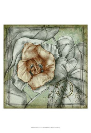 Framed Postmark Tropicals IV Print