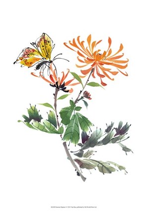 Framed Summer Rapture I Print