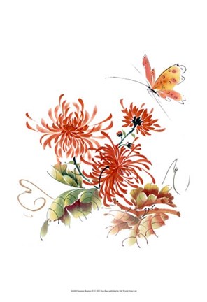 Framed Summer Rapture IV Print