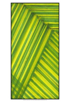 Framed Line Study Green Print