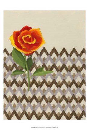 Framed Rosa Dawn I Print