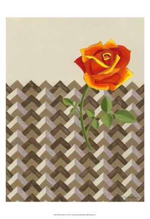 Framed Rosa Dawn II Print