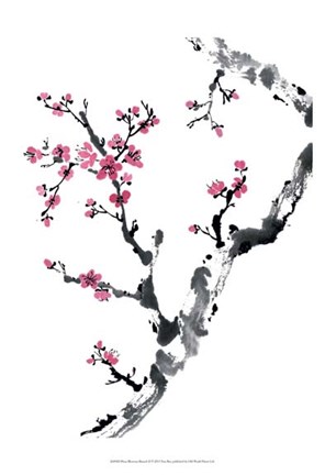 Framed Plum Blossom Branch II Print