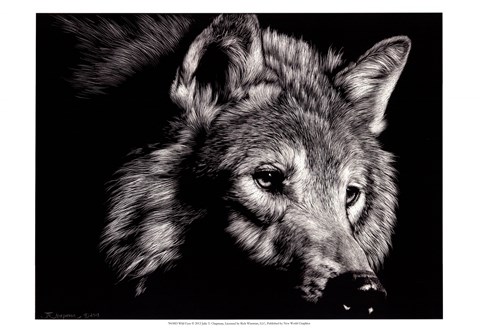 Framed Wild Eyes Print