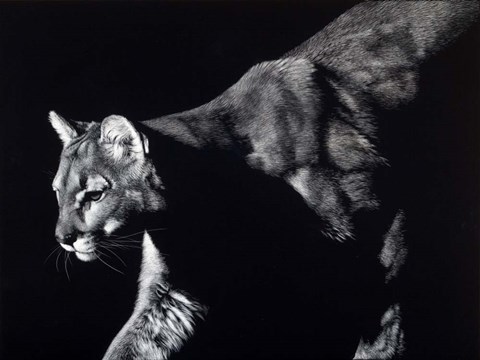 Framed Prowler Print