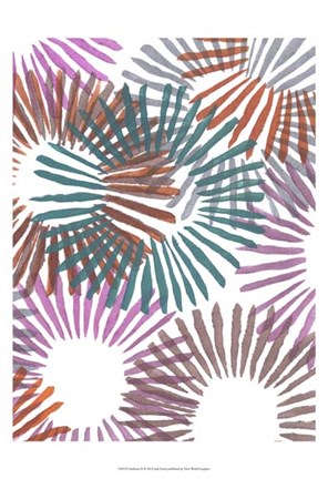 Framed Starburst II Print