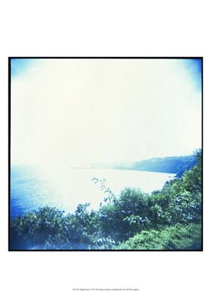 Framed Holga Hawaii VI Print