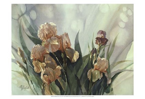 Framed Hadfield Irises II Print