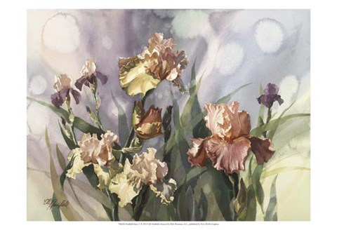 Framed Hadfield Irises V Print