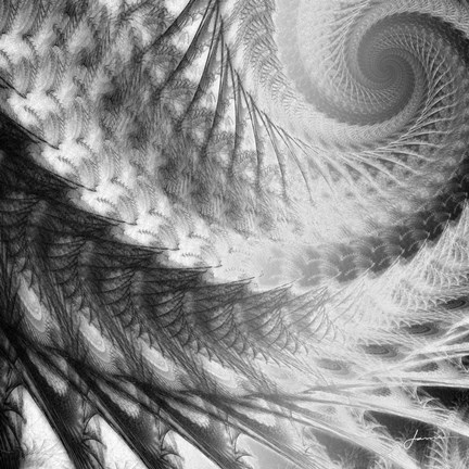 Framed Helix II Print