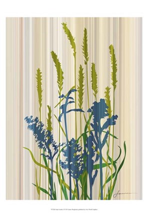 Framed Strip Garden I Print