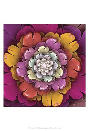 Framed Fractal Blooms II Print