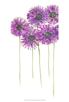 Framed Pinwheels I Print