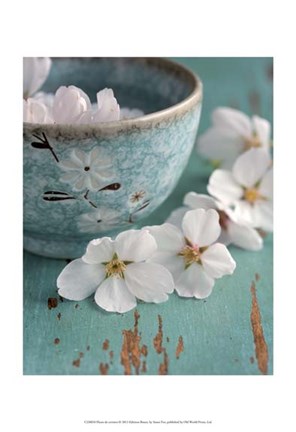 Framed Fleurs de cerisiers Print