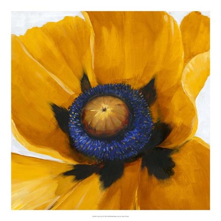 Framed Close-Up I Print