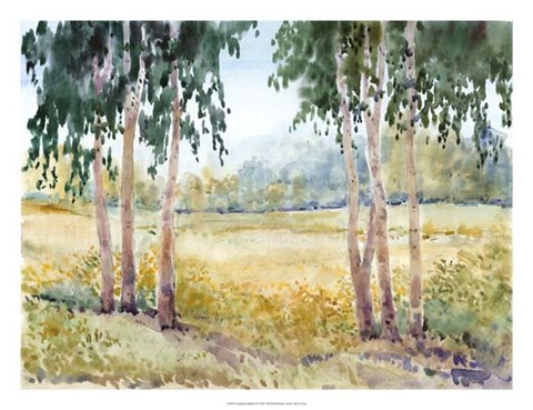 Framed Luminous Meadow II Print