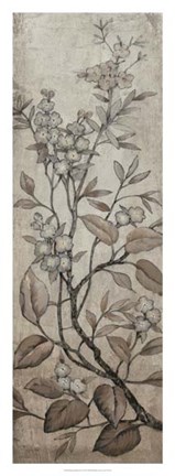 Framed Branch &amp; Blossoms I Print