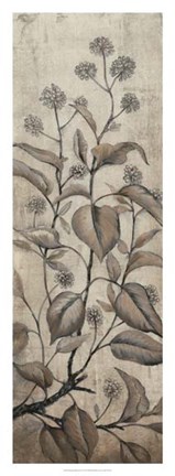 Framed Branch &amp; Blossoms II Print