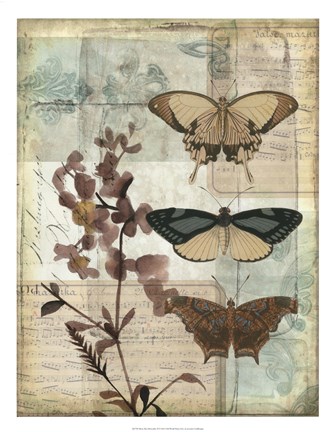 Framed Music Box Butterflies II Print