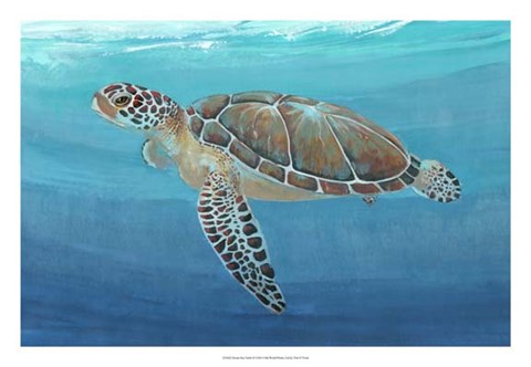 Framed Ocean Sea Turtle II Print