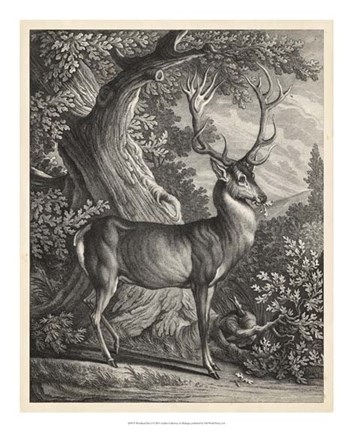 Framed Woodland Deer I Print