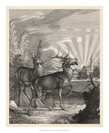 Framed Woodland Deer V Print