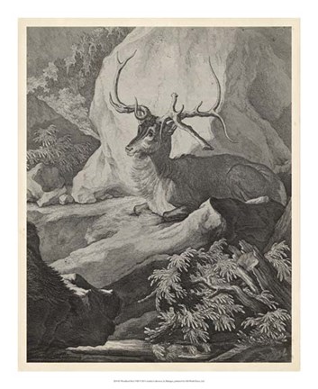 Framed Woodland Deer VIII Print