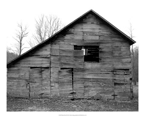 Framed Weather Worn III Print