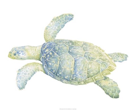 Framed Tranquil Sea Turtle II Print