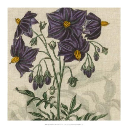 Framed Floral Delight I Print