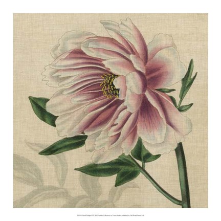 Framed Floral Delight II Print