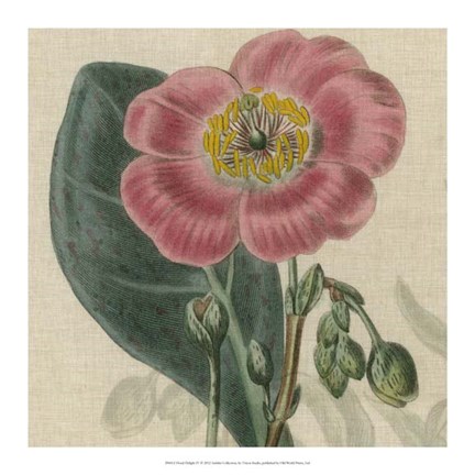 Framed Floral Delight IV Print