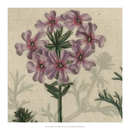 Framed Floral Delight VI Print