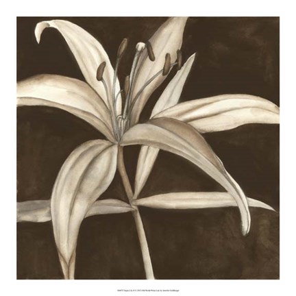 Framed Sepia Lily II Print