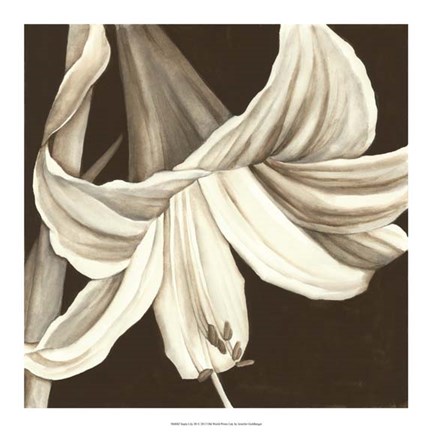 Framed Sepia Lily III Print